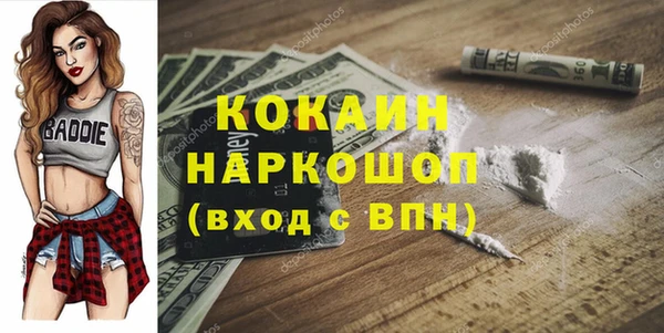 дмт Бородино