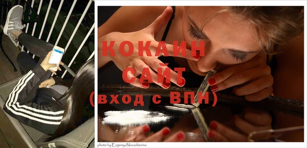 дмт Бородино