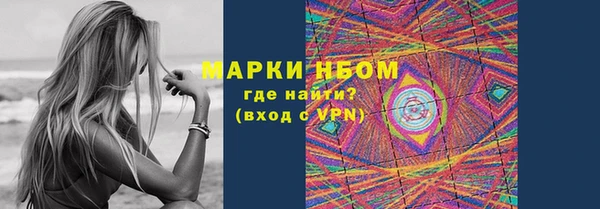 дмт Бородино
