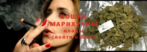 дмт Бородино